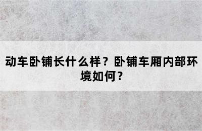 动车卧铺长什么样？卧铺车厢内部环境如何？