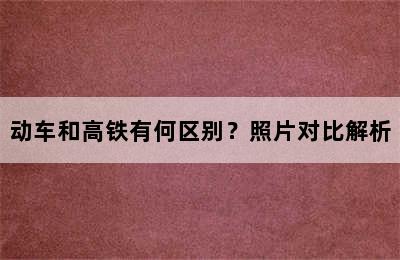 动车和高铁有何区别？照片对比解析