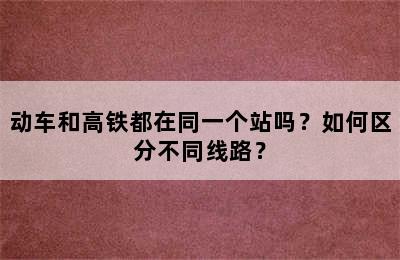 动车和高铁都在同一个站吗？如何区分不同线路？