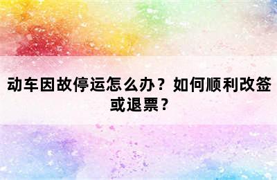 动车因故停运怎么办？如何顺利改签或退票？
