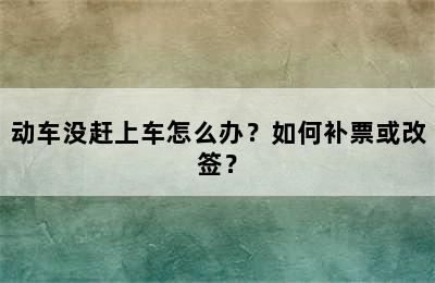 动车没赶上车怎么办？如何补票或改签？