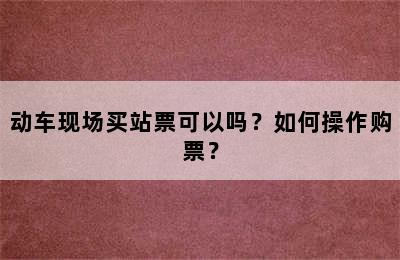动车现场买站票可以吗？如何操作购票？