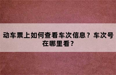 动车票上如何查看车次信息？车次号在哪里看？