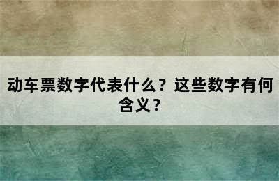 动车票数字代表什么？这些数字有何含义？