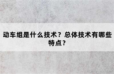 动车组是什么技术？总体技术有哪些特点？