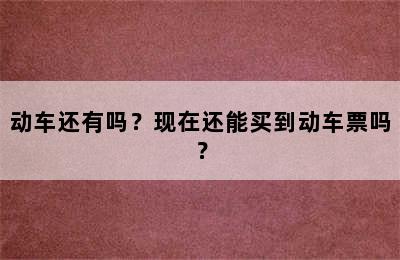 动车还有吗？现在还能买到动车票吗？