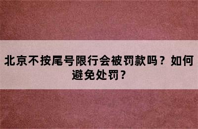 北京不按尾号限行会被罚款吗？如何避免处罚？