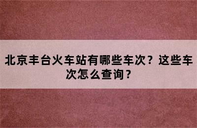 北京丰台火车站有哪些车次？这些车次怎么查询？