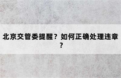 北京交管委提醒？如何正确处理违章？