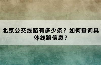 北京公交线路有多少条？如何查询具体线路信息？