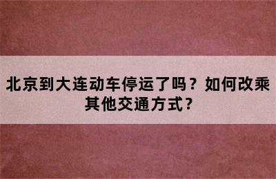 北京到大连动车停运了吗？如何改乘其他交通方式？