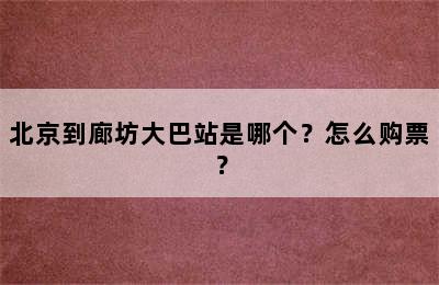 北京到廊坊大巴站是哪个？怎么购票？