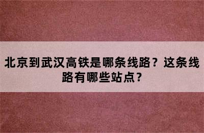 北京到武汉高铁是哪条线路？这条线路有哪些站点？