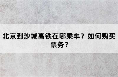 北京到沙城高铁在哪乘车？如何购买票务？