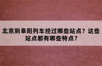 北京到阜阳列车经过哪些站点？这些站点都有哪些特点？