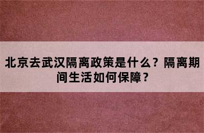 北京去武汉隔离政策是什么？隔离期间生活如何保障？