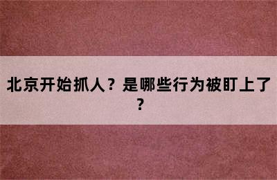 北京开始抓人？是哪些行为被盯上了？