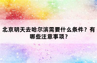 北京明天去哈尔滨需要什么条件？有哪些注意事项？