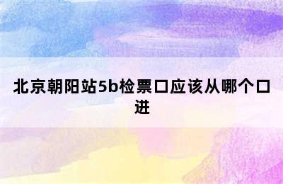 北京朝阳站5b检票口应该从哪个口进