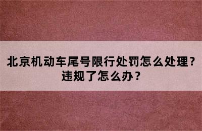 北京机动车尾号限行处罚怎么处理？违规了怎么办？