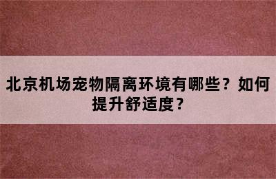 北京机场宠物隔离环境有哪些？如何提升舒适度？