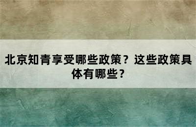 北京知青享受哪些政策？这些政策具体有哪些？