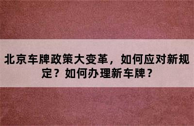 北京车牌政策大变革，如何应对新规定？如何办理新车牌？