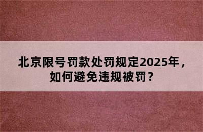 北京限号罚款处罚规定2025年，如何避免违规被罚？