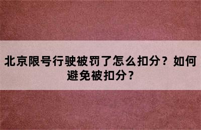 北京限号行驶被罚了怎么扣分？如何避免被扣分？