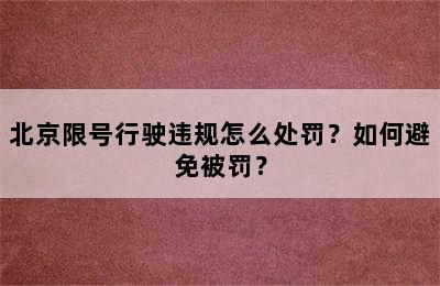 北京限号行驶违规怎么处罚？如何避免被罚？