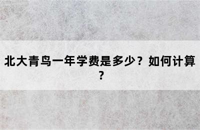 北大青鸟一年学费是多少？如何计算？