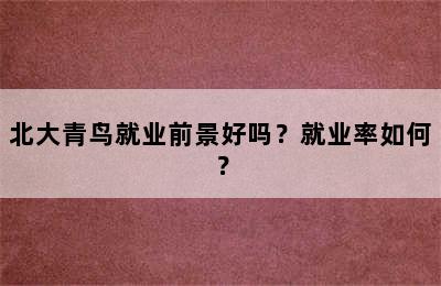 北大青鸟就业前景好吗？就业率如何？