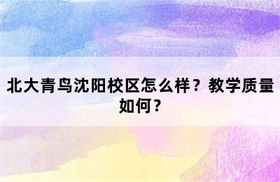 北大青鸟沈阳校区怎么样？教学质量如何？