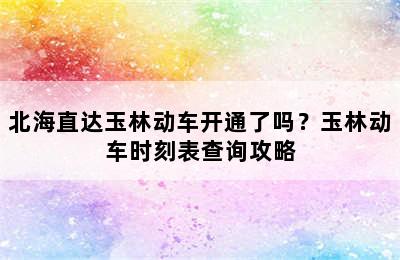 北海直达玉林动车开通了吗？玉林动车时刻表查询攻略