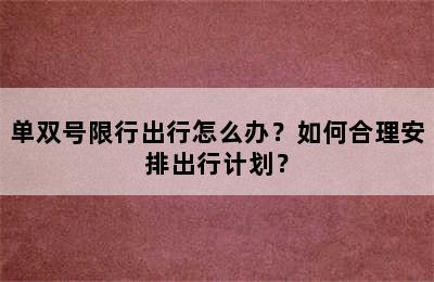 单双号限行出行怎么办？如何合理安排出行计划？