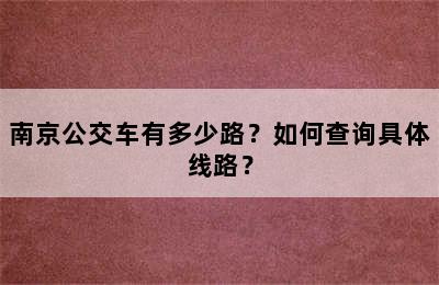 南京公交车有多少路？如何查询具体线路？