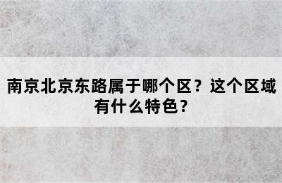 南京北京东路属于哪个区？这个区域有什么特色？