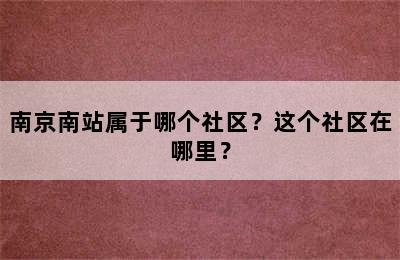 南京南站属于哪个社区？这个社区在哪里？