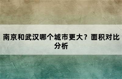 南京和武汉哪个城市更大？面积对比分析