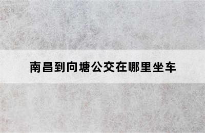 南昌到向塘公交在哪里坐车
