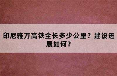 印尼雅万高铁全长多少公里？建设进展如何？