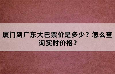 厦门到广东大巴票价是多少？怎么查询实时价格？