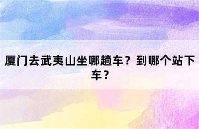 厦门去武夷山坐哪趟车？到哪个站下车？