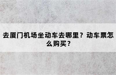 去厦门机场坐动车去哪里？动车票怎么购买？
