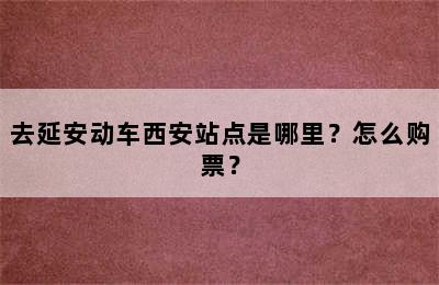 去延安动车西安站点是哪里？怎么购票？