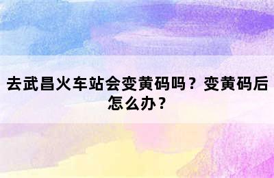 去武昌火车站会变黄码吗？变黄码后怎么办？