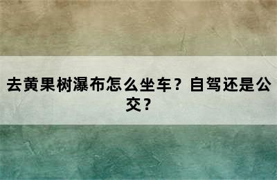 去黄果树瀑布怎么坐车？自驾还是公交？