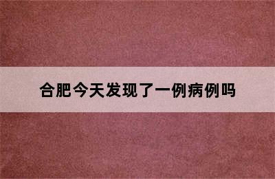 合肥今天发现了一例病例吗
