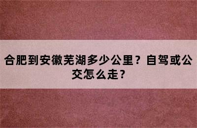 合肥到安徽芜湖多少公里？自驾或公交怎么走？