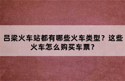 吕梁火车站都有哪些火车类型？这些火车怎么购买车票？